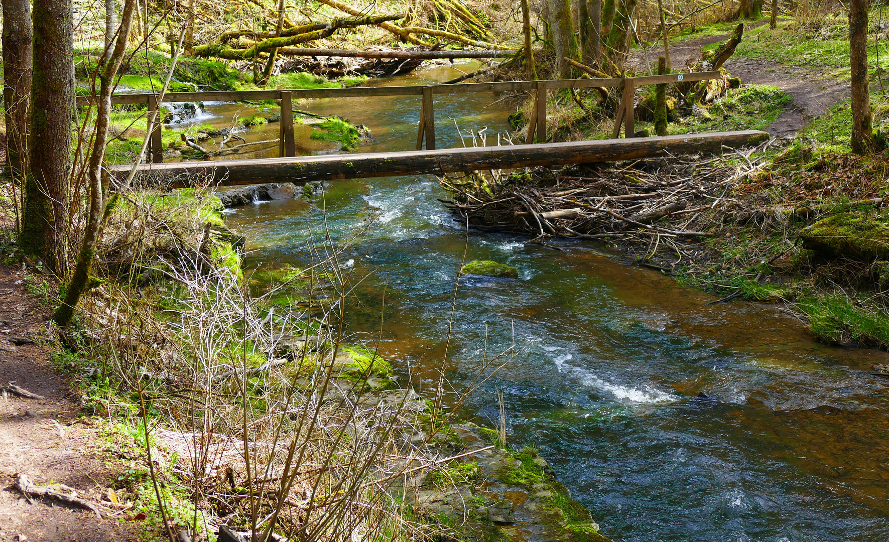 Brücke Gauchachschlucht März 2024