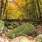 Brücke Gorges du Pichoux