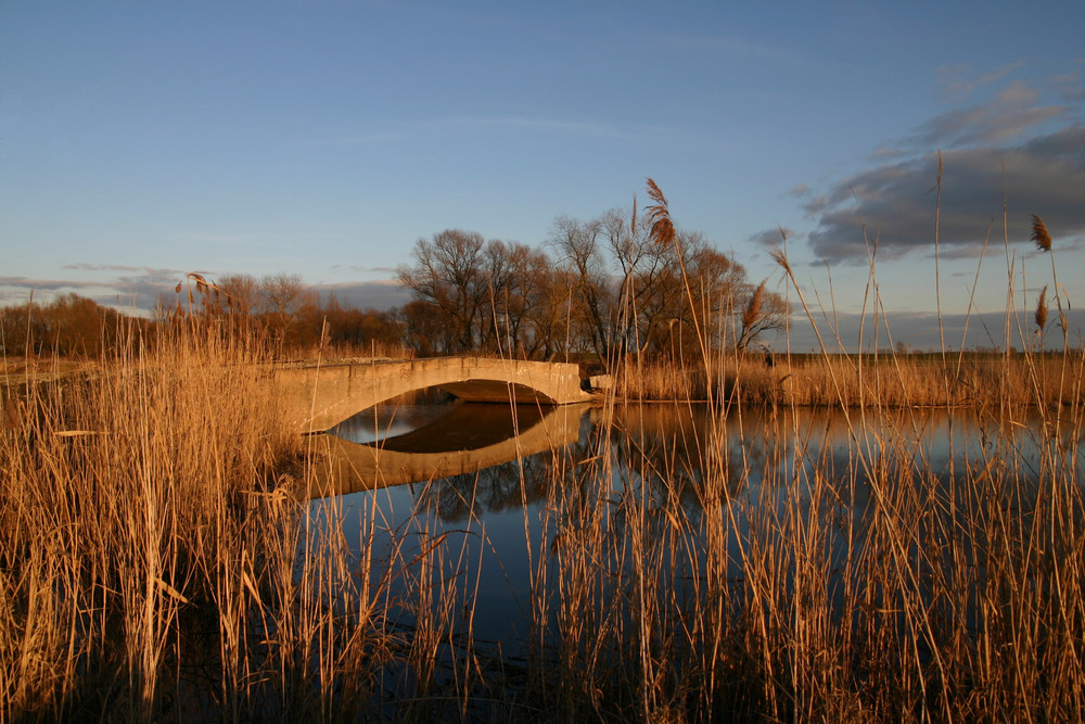 Brücke II