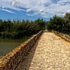 "Brücke im Albufera Naturpark"