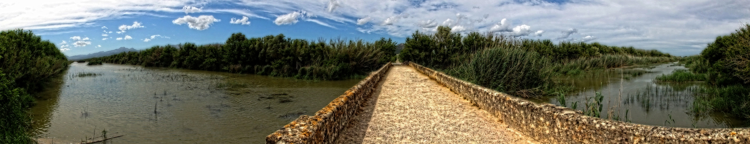 "Brücke im Albufera Naturpark"