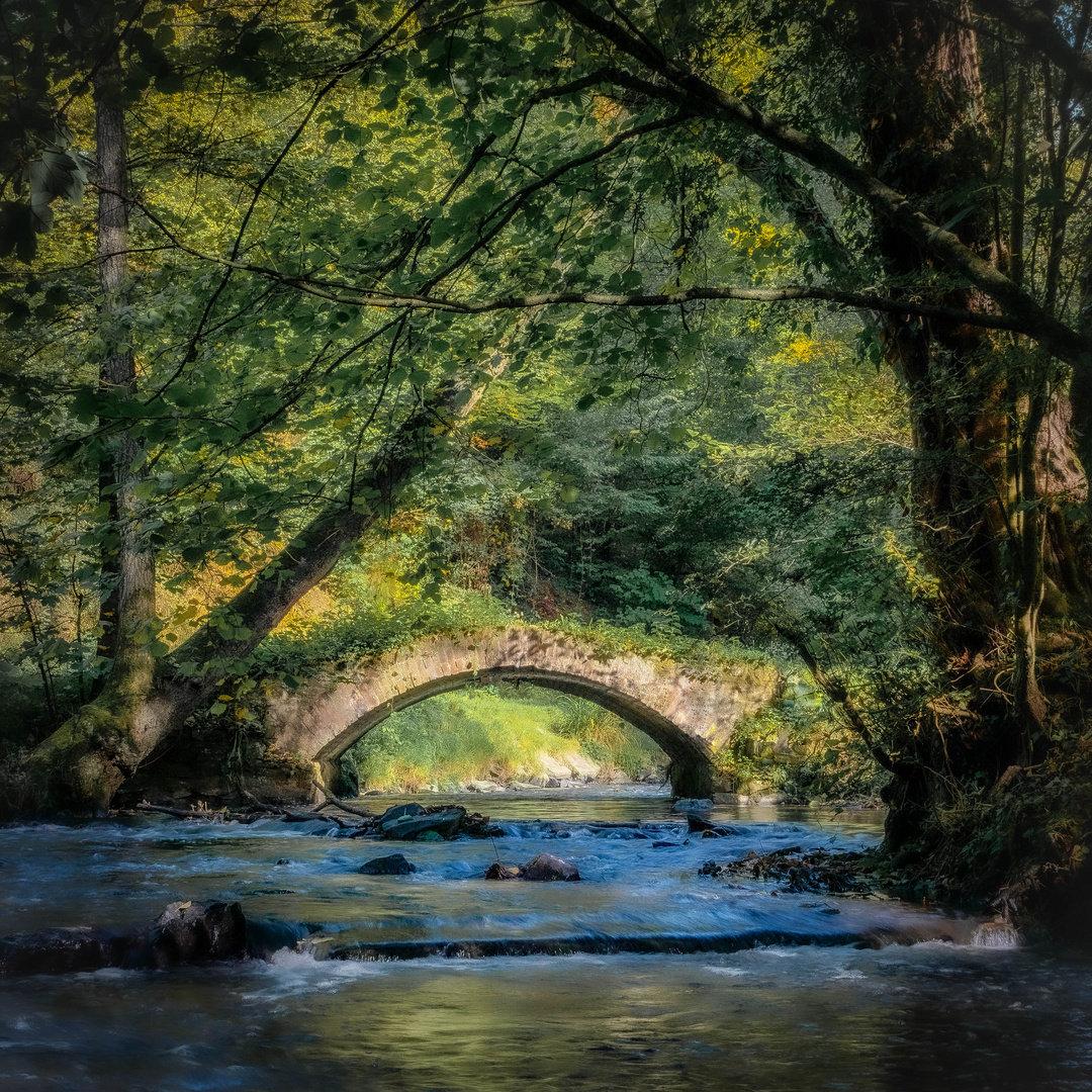 Brücke im Angertal