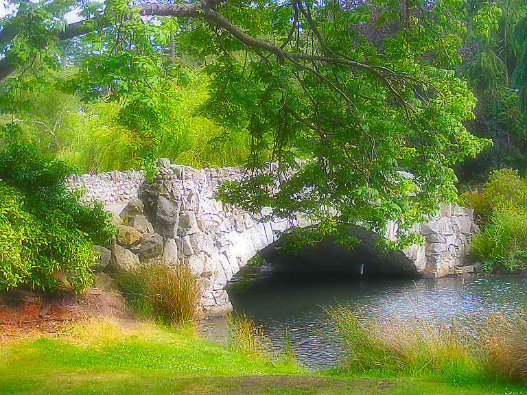 Bruecke im Beacon Hill Park in Victoria, BC