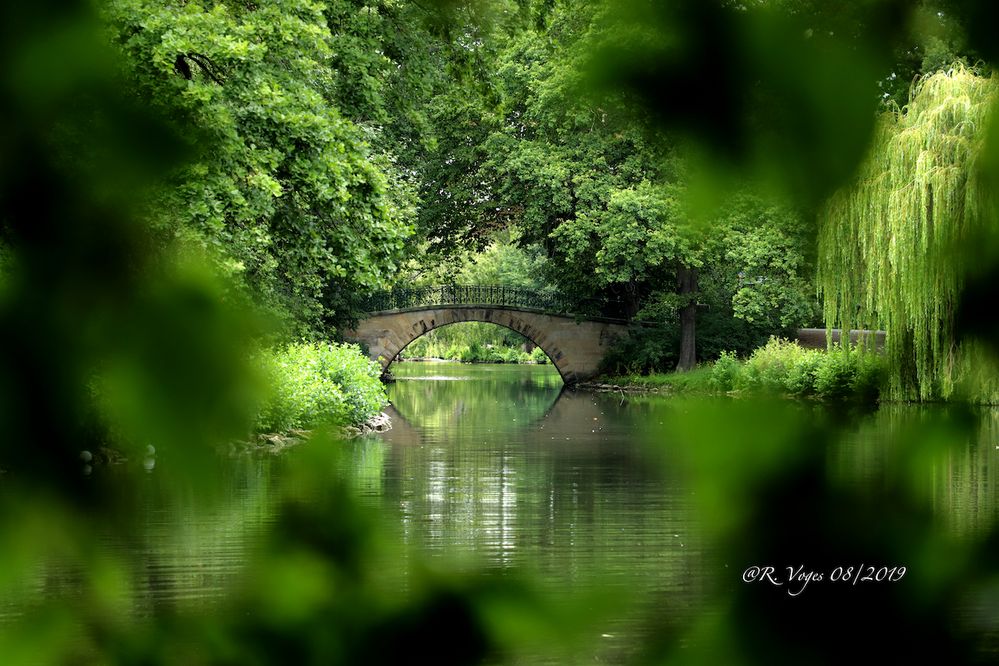 Brücke im Berggarten zu Hannover Foto &amp; Bild landschaft