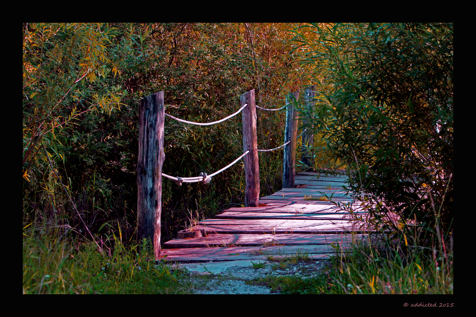 Brücke im Biotop Redwitz