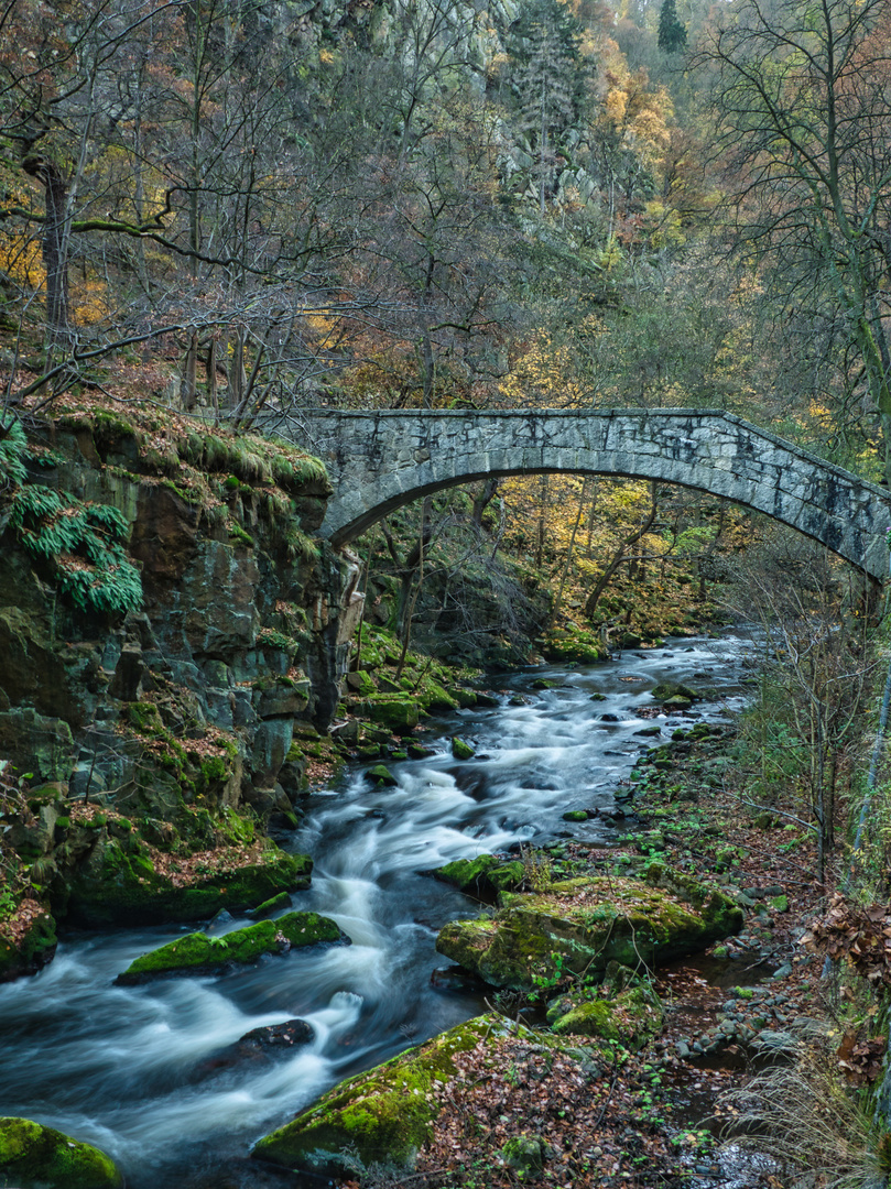 Brücke im Bodetal