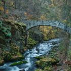 Brücke im Bodetal