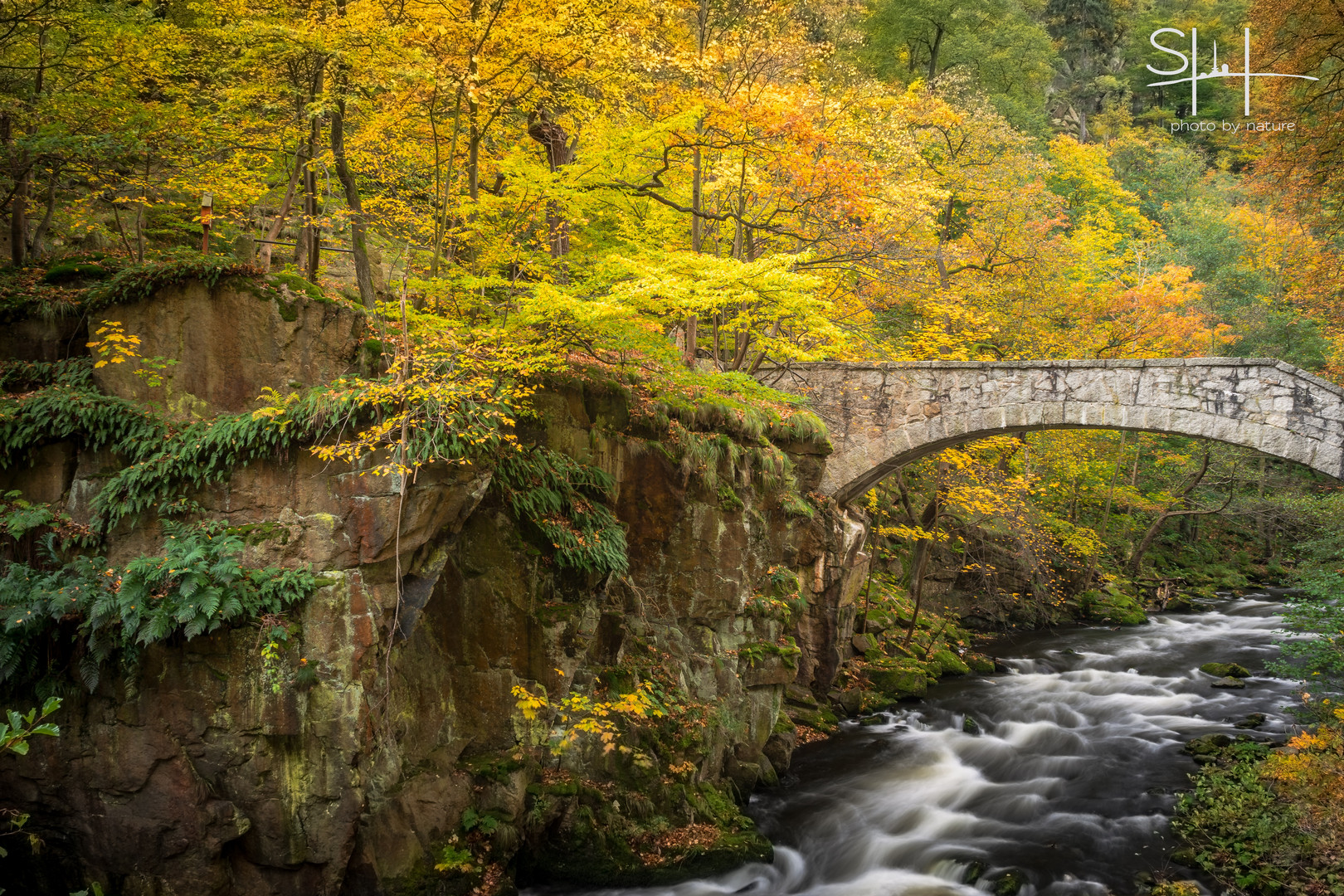 Brücke im Bodetal