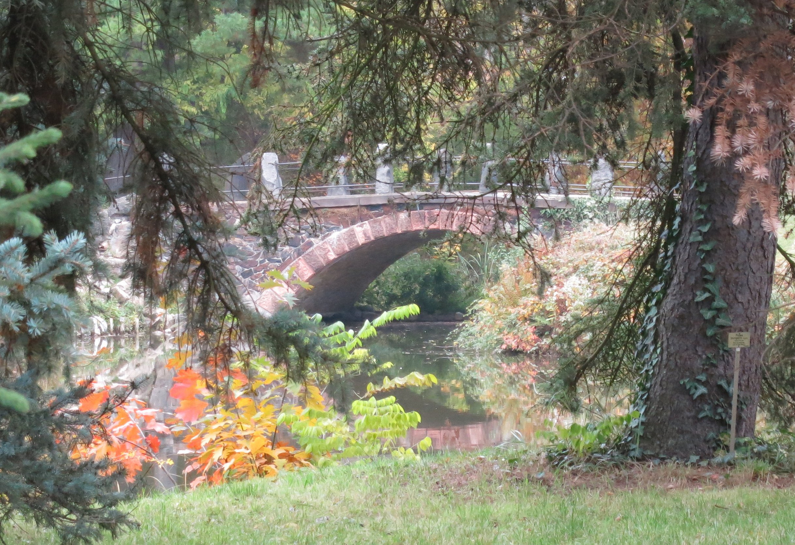 Brücke im Botanischen Garten Berlin