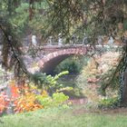 Brücke im Botanischen Garten Berlin