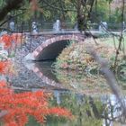 Brücke im Botanischen Garten Berlin - detaillierter...