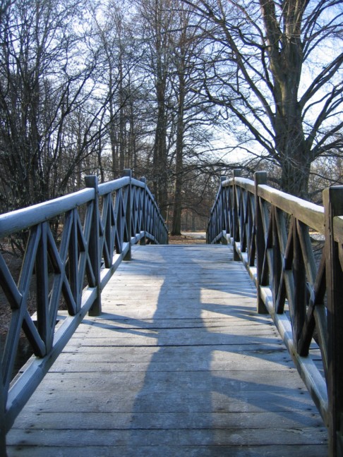 Brücke im Branitzer Park