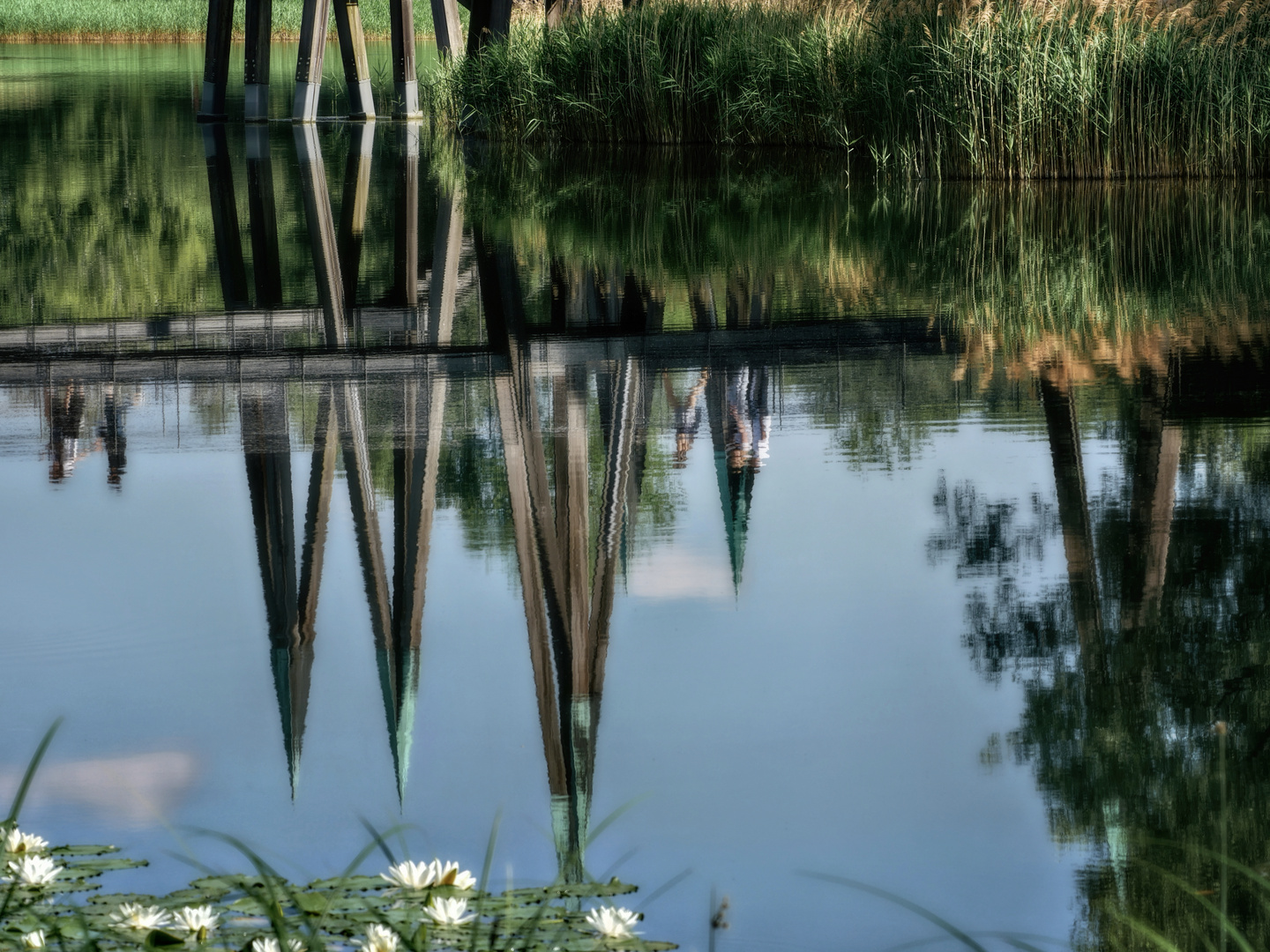 Brücke im Britzer Garten Foto & Bild spezial, berlin, natur Bilder