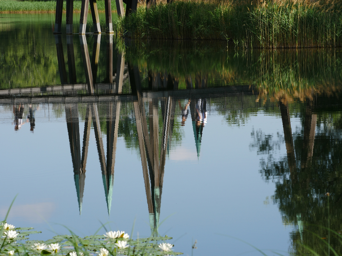 Brücke im Britzer Garten… unbearbeitet Foto & Bild