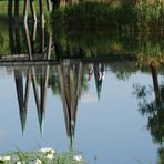 Brücke im Britzer Garten... unbearbeitet