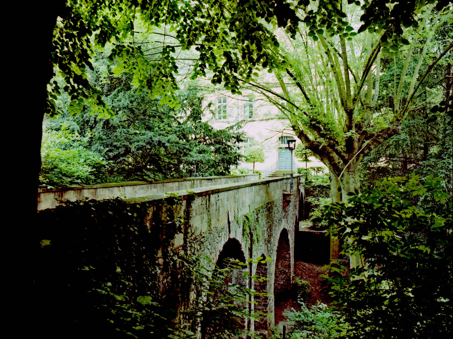 Brücke im Burggarten