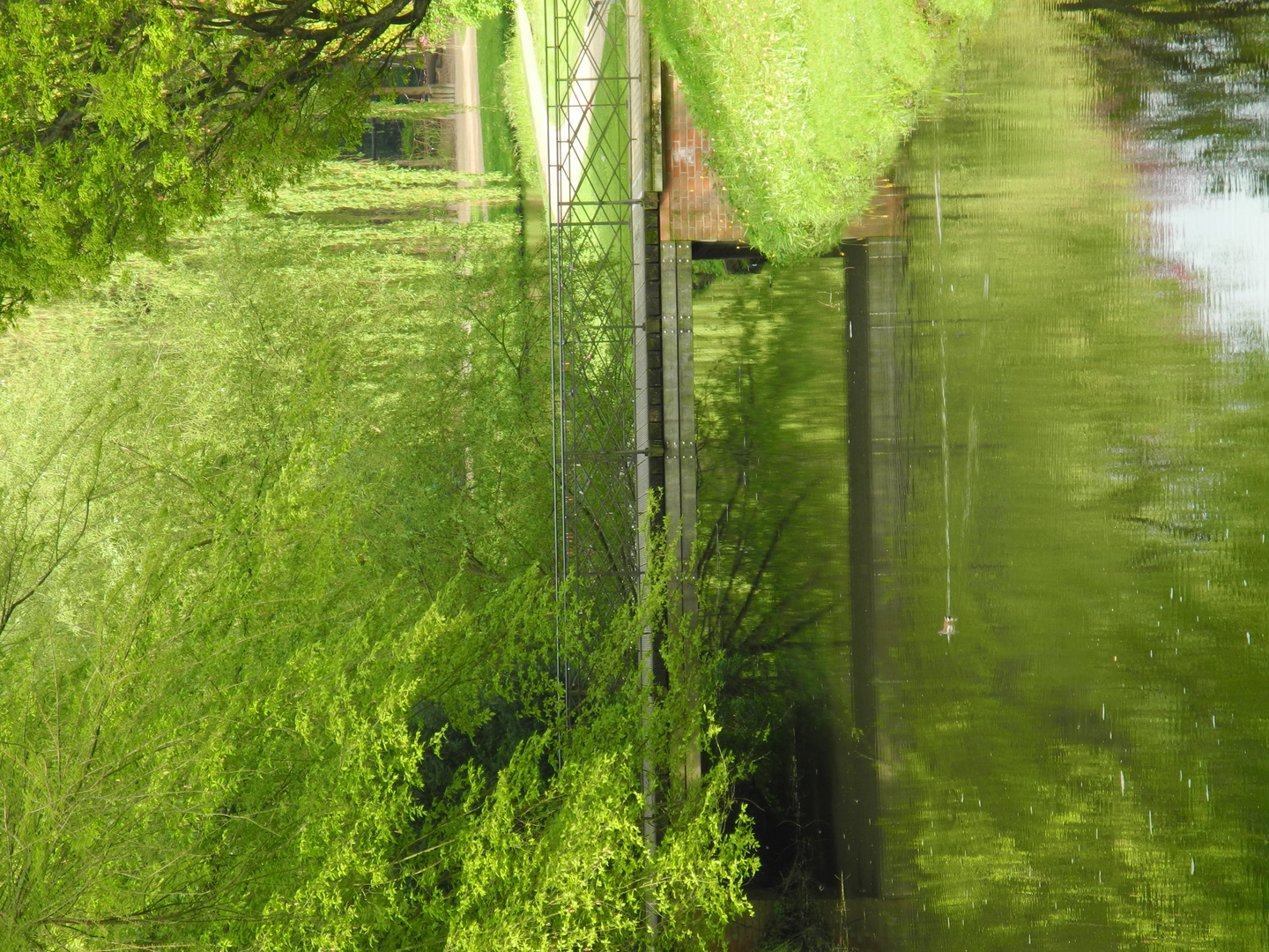 Brücke im Celler Schlosspark