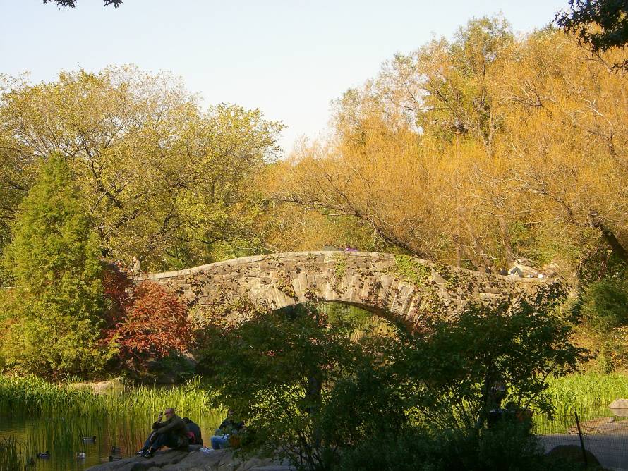 Brücke im Central Park