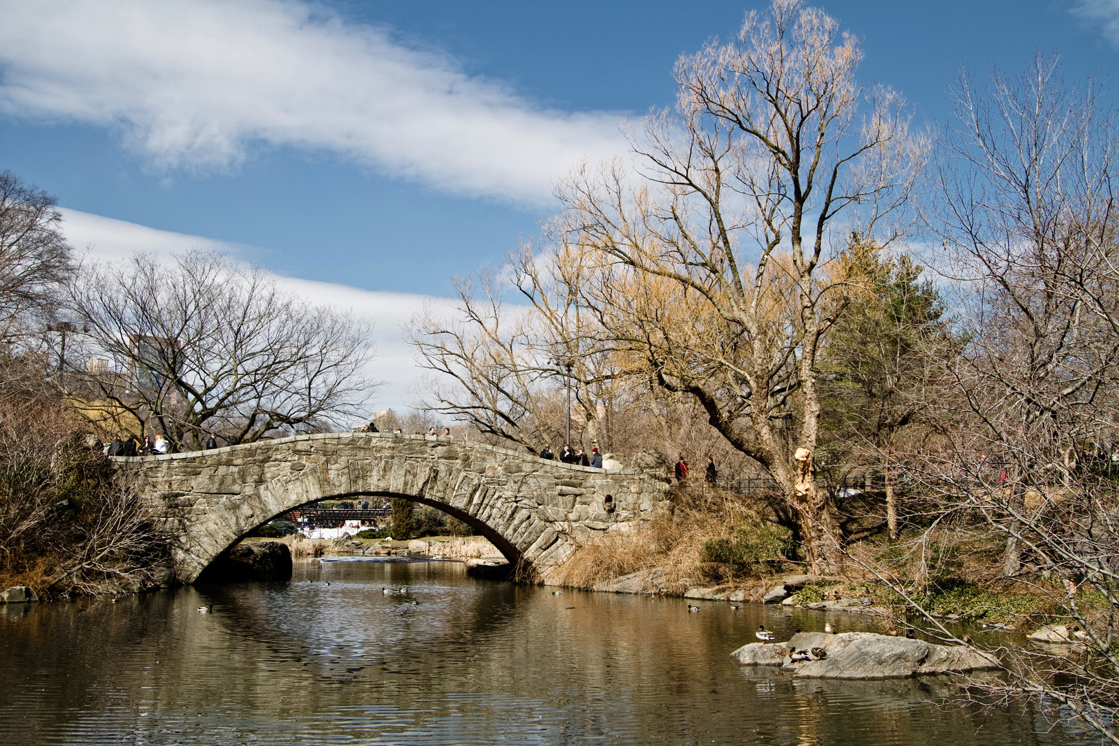 Brücke im Central Park