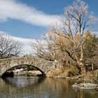 Brücke im Central Park