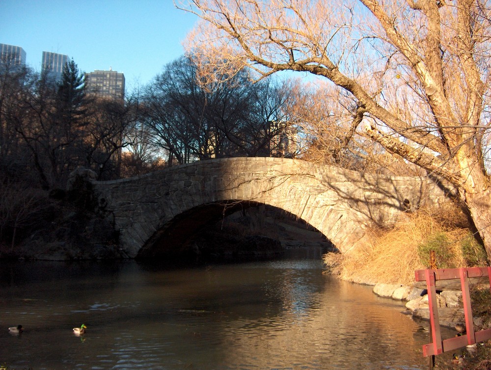 Brücke im Central Park (Dezember 2005)