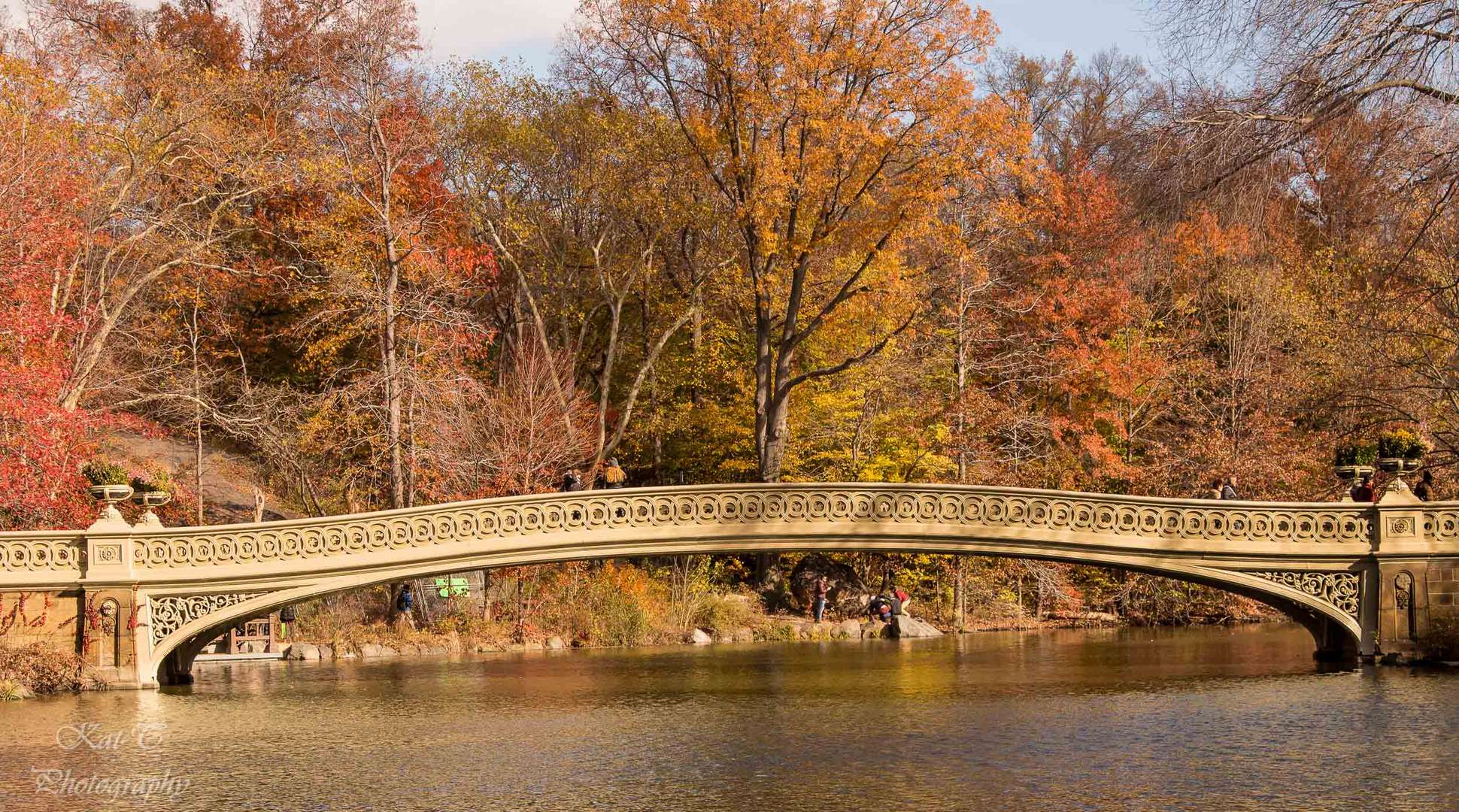 Brücke im Central Park