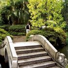 Brücke im Chinesischen Garten