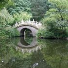 Brücke im Chinesischen Garten