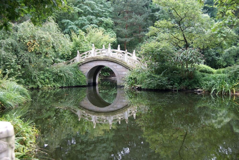 Brücke im Chinesischen Garten