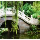 Brücke im chinesischen Garten