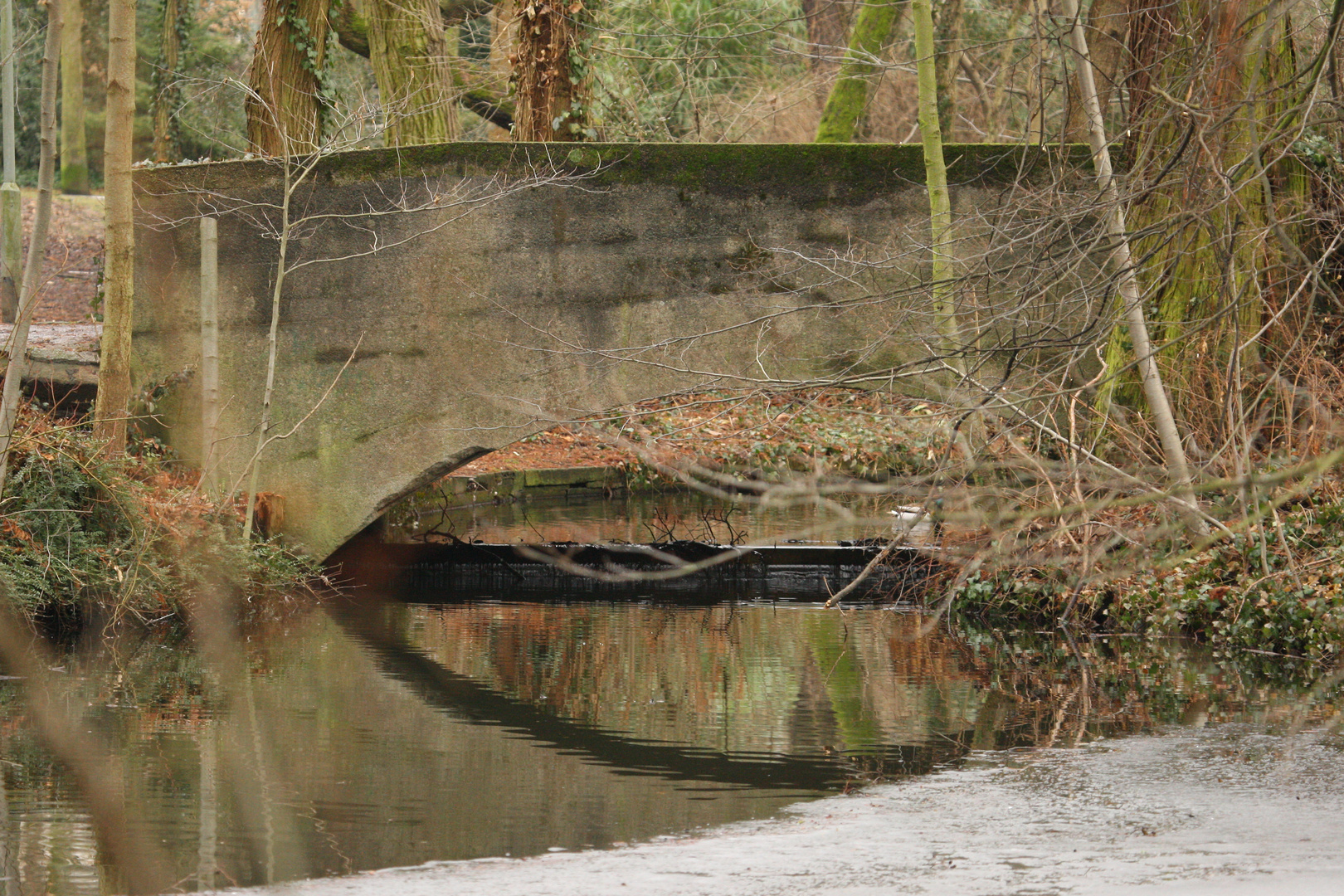 Brücke im Dreieichpark