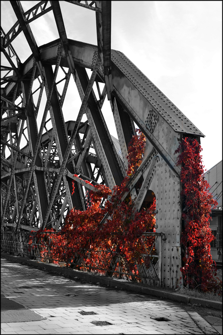 Brücke im Dresdner Hafen