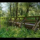 Brücke im Dschungel