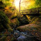 Brücke im Ehrbachtal