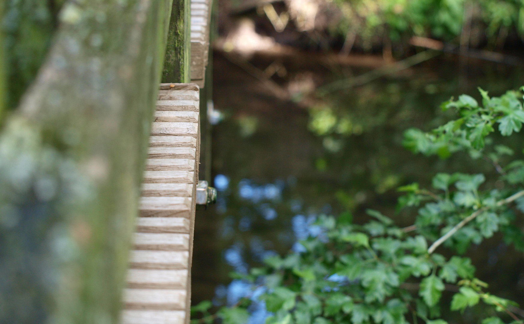 Brücke im Fokus