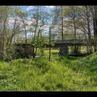 Brücke im Frühling