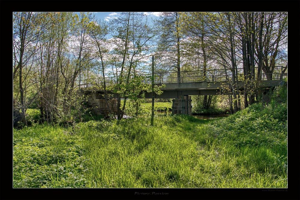 Brücke im Frühling