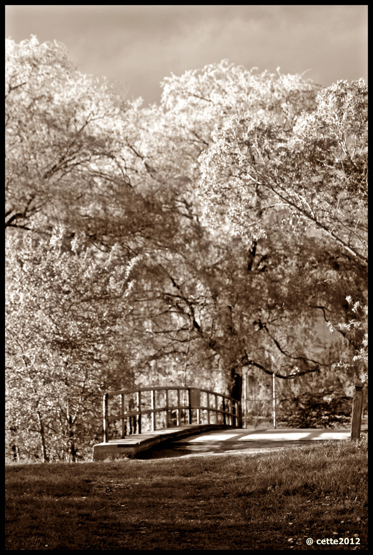 Brücke im Frühling