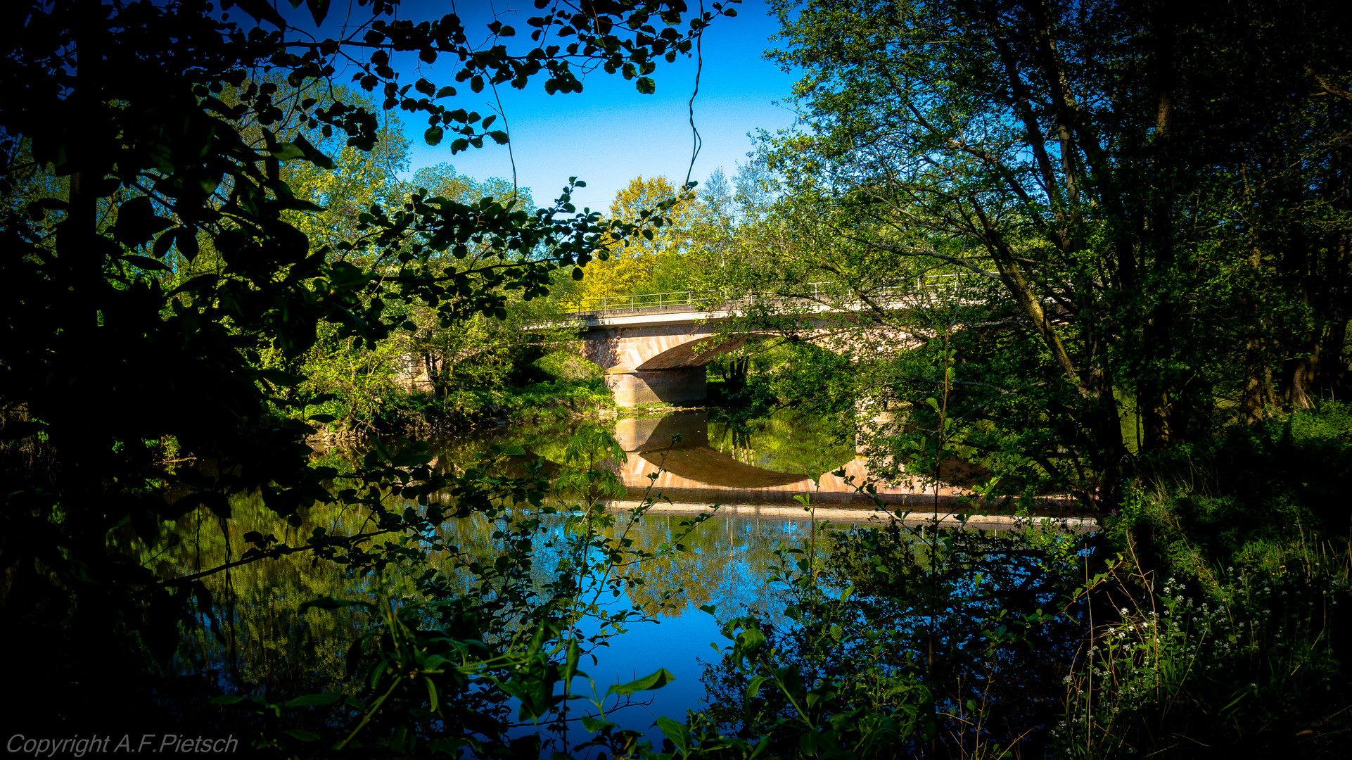 Brücke im Frühlingsdschungel