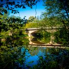 Brücke im Frühlingsdschungel