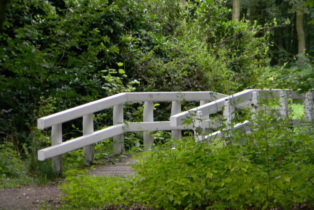 Brücke im Füchteler Wald