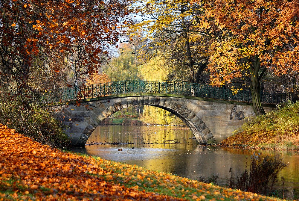 Brücke im Georgengarten, Hannover