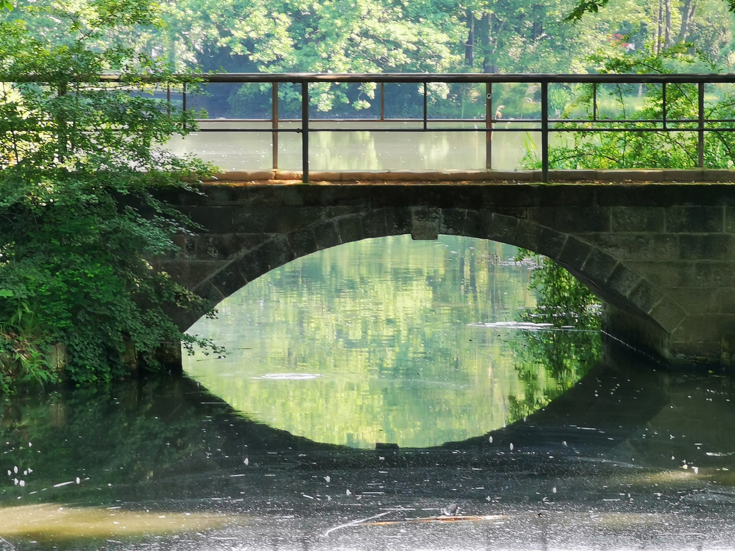 Brücke im großen Garten dresden