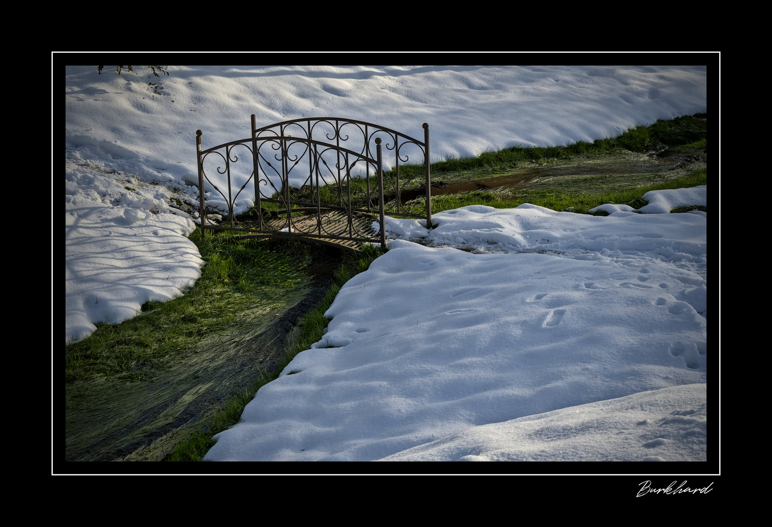 Brücke im Grünen