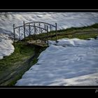 Brücke im Grünen