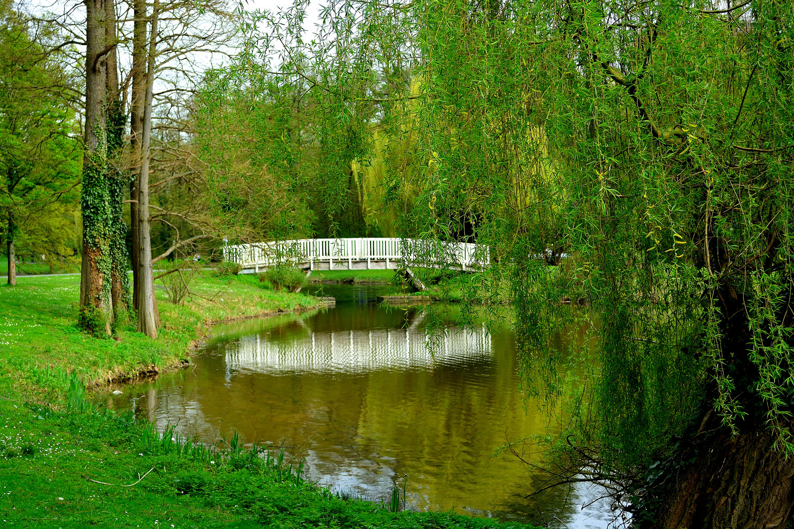 Brücke im Grünen