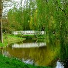 Brücke im Grünen