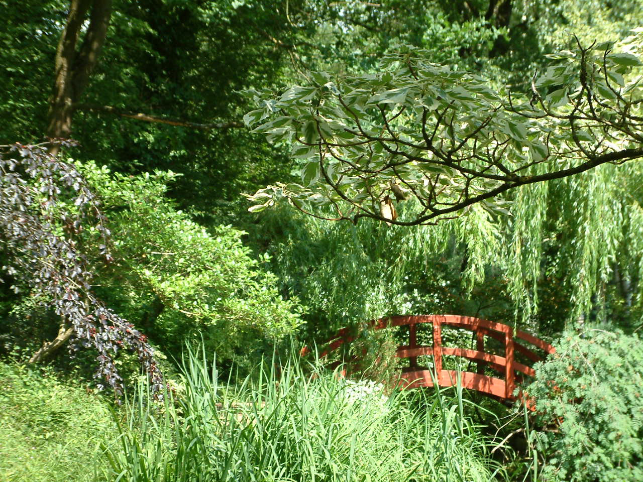 Brücke im Grünen