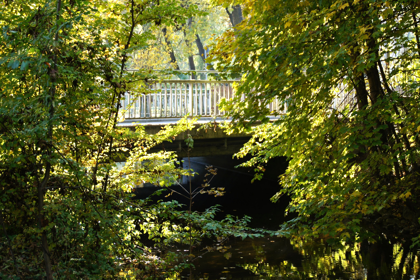  Brücke im Grünen