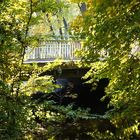  Brücke im Grünen